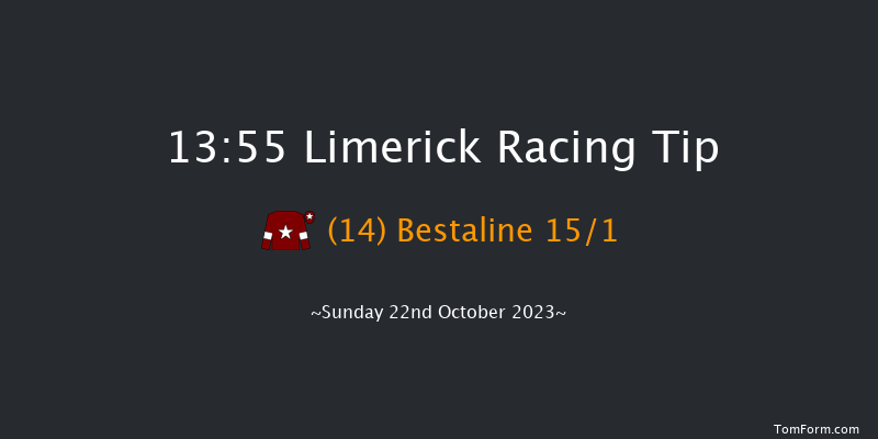 Limerick 13:55 Maiden Hurdle 16f Sat 21st Oct 2023