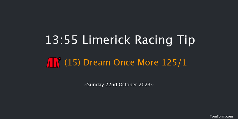 Limerick 13:55 Maiden Hurdle 16f Sat 21st Oct 2023