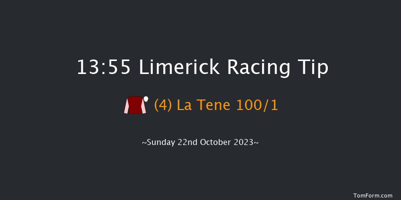 Limerick 13:55 Maiden Hurdle 16f Sat 21st Oct 2023