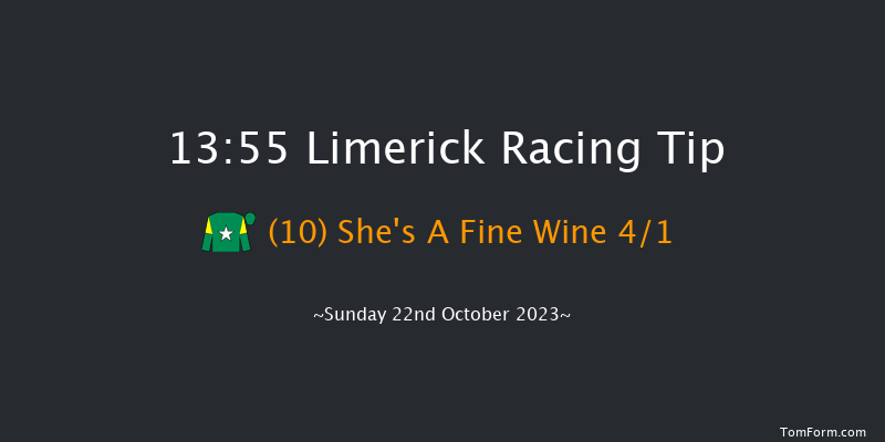 Limerick 13:55 Maiden Hurdle 16f Sat 21st Oct 2023