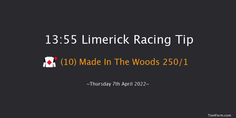 Limerick 13:55 Maiden Hurdle 21f Sun 27th Mar 2022
