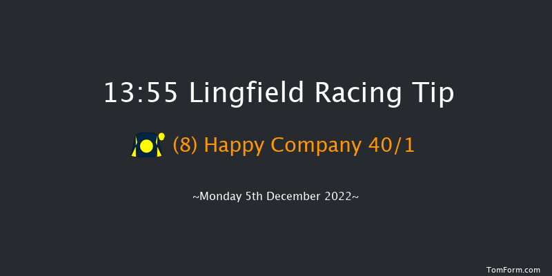 Lingfield 13:55 Handicap Hurdle (Class 4) 16f Wed 30th Nov 2022