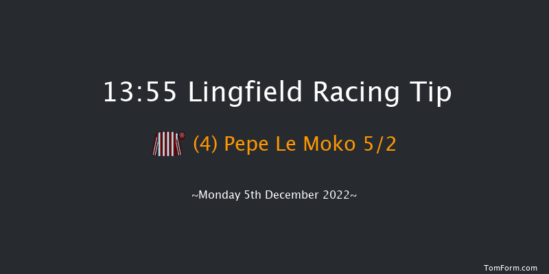 Lingfield 13:55 Handicap Hurdle (Class 4) 16f Wed 30th Nov 2022