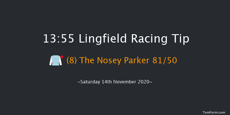 Betway Median Auction Maiden Stakes Lingfield 13:55 Maiden (Class 6) 6f Tue 10th Nov 2020