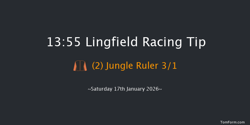 Lingfield 13-55 (Class 2) 7f Wed 14th Jan 2026