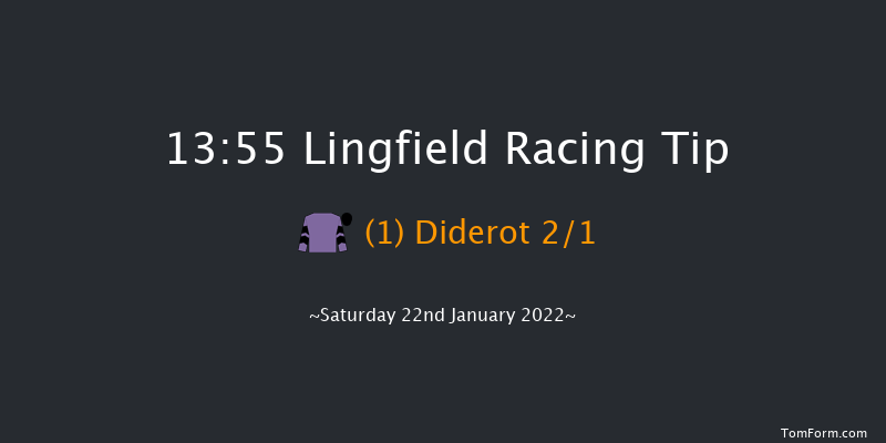 Lingfield 13:55 Handicap (Class 3) 8f Fri 21st Jan 2022