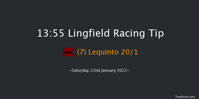 Lingfield 13:55 Handicap (Class 3) 8f Fri 21st Jan 2022