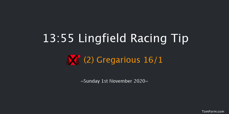 Free Jumpers To Follow Ebook tipstersempire.co.uk Handicap Hurdle Lingfield 13:55 Handicap Hurdle (Class 5) 16f Thu 29th Oct 2020