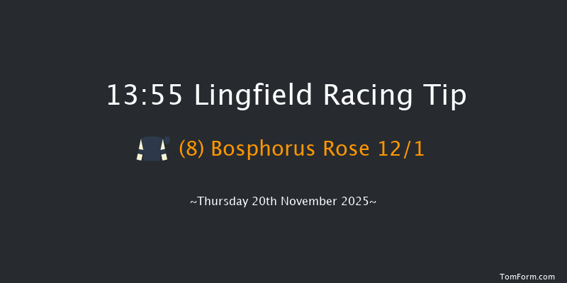 Lingfield 13-55 (Class 1) 13f Tue 18th Nov 2025