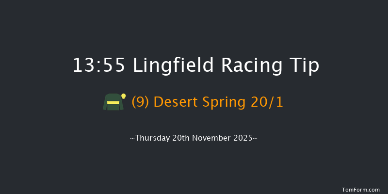 Lingfield 13-55 (Class 1) 13f Tue 18th Nov 2025