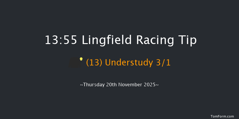 Lingfield 13-55 (Class 1) 13f Tue 18th Nov 2025
