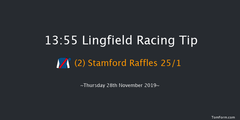 Lingfield 13:55 Handicap (Class 3) 10f Sat 23rd Nov 2019