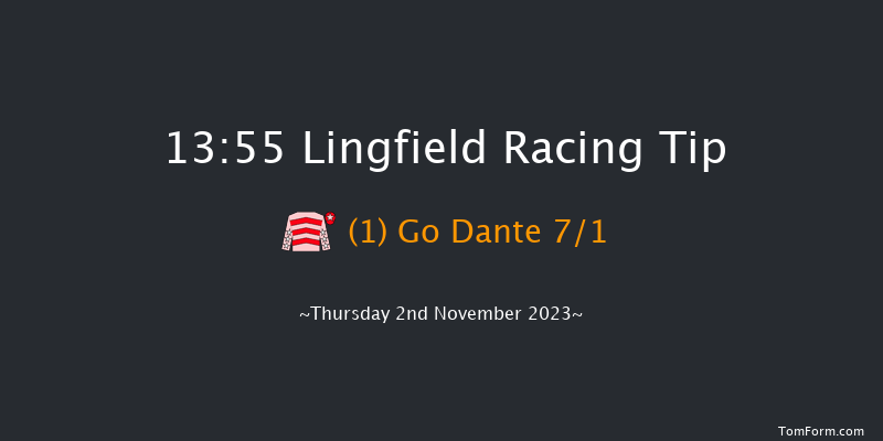 Lingfield 13:55 Handicap Hurdle (Class 3) 16f Wed 1st Nov 2023