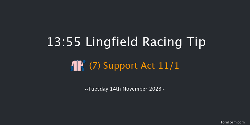 Lingfield 13:55 Maiden Hurdle (Class 3) 20f Tue 7th Nov 2023