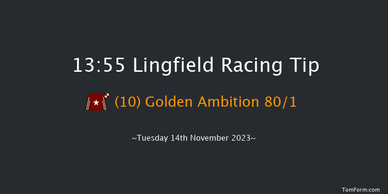 Lingfield 13:55 Maiden Hurdle (Class 3) 20f Tue 7th Nov 2023
