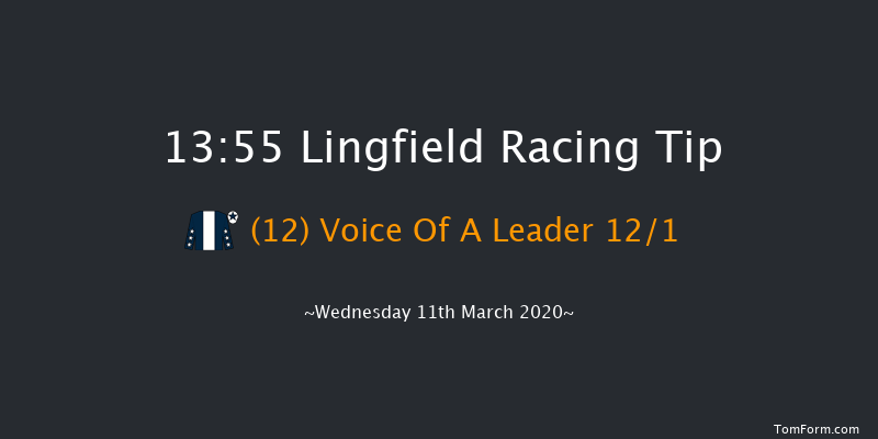 Betway Handicap (Div 2) Lingfield 13:55 Handicap (Class 6) 10f Wed 4th Mar 2020