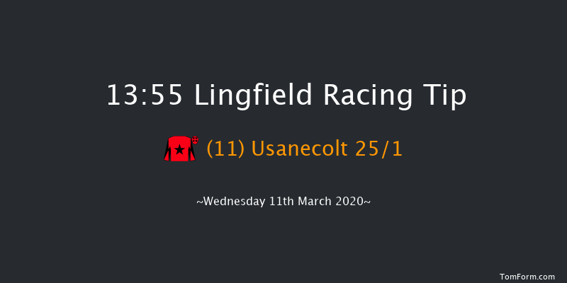 Betway Handicap (Div 2) Lingfield 13:55 Handicap (Class 6) 10f Wed 4th Mar 2020