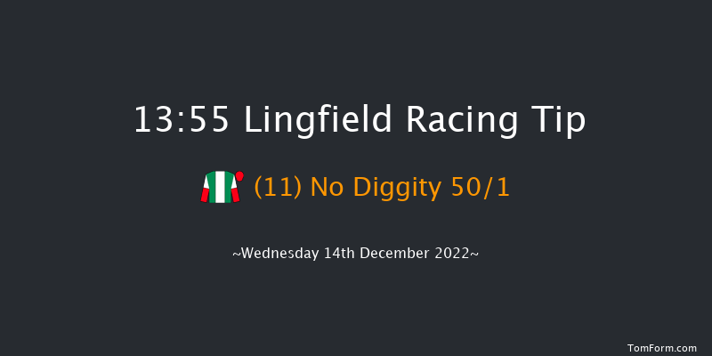 Lingfield 13:55 Handicap (Class 6) 8f Mon 12th Dec 2022