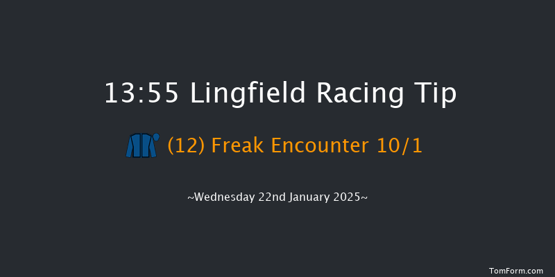 Lingfield  13:55 Handicap (Class 6) 8f Sat 18th Jan 2025