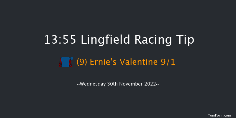 Lingfield 13:55 Handicap (Class 3) 7f Tue 29th Nov 2022