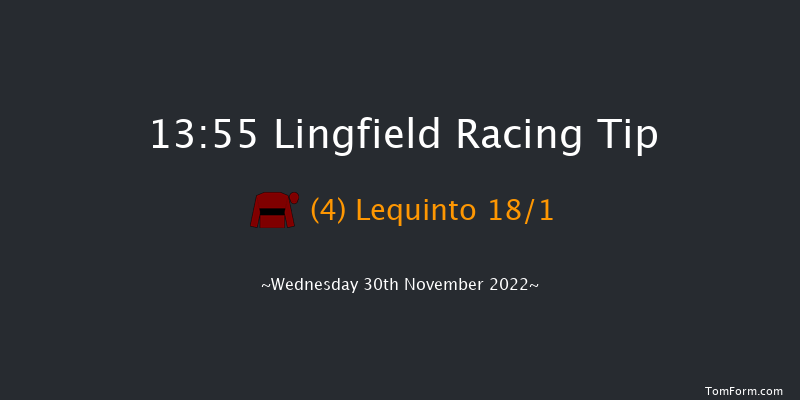 Lingfield 13:55 Handicap (Class 3) 7f Tue 29th Nov 2022