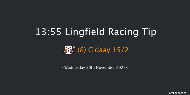Lingfield 13:55 Handicap (Class 3) 7f Tue 29th Nov 2022