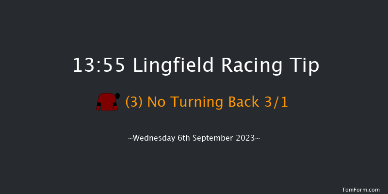 Lingfield 13:55 Handicap (Class 6) 7f Wed 30th Aug 2023