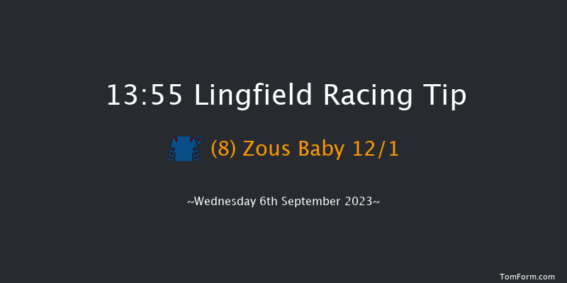 Lingfield 13:55 Handicap (Class 6) 7f Wed 30th Aug 2023