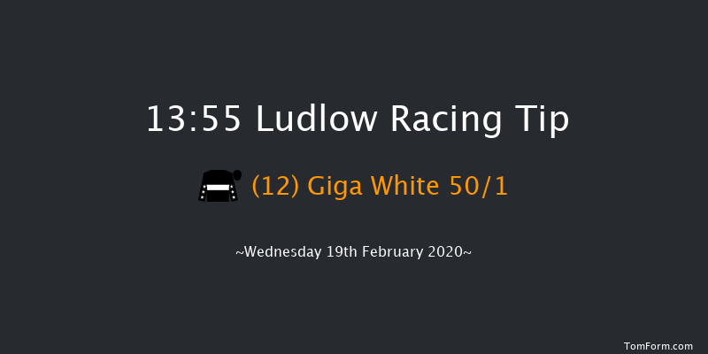 Plyvine Catering Maiden Hurdle Ludlow 13:55 Maiden Hurdle (Class 4) 16f Wed 5th Feb 2020