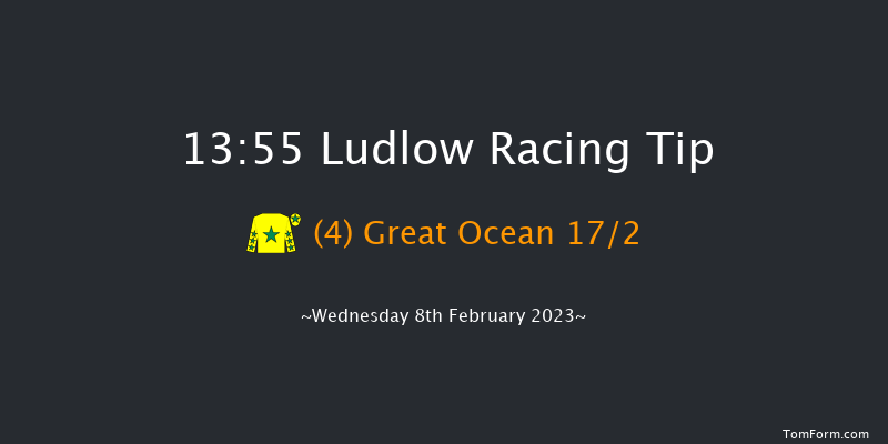 Ludlow 13:55 Handicap Chase (Class 4) 16f Fri 6th Jan 2023
