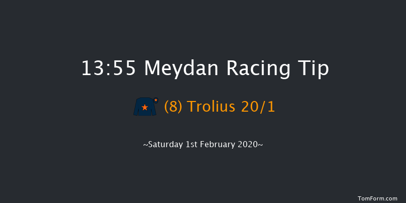 Meydan 13:55 1m 1f 16 run Emirates NBD Asset Management Handicap - Turf Thu 30th Jan 2020