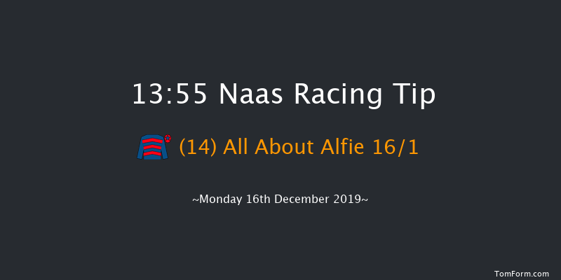 Naas 13:55 Handicap Hurdle 19f Sat 9th Nov 2019