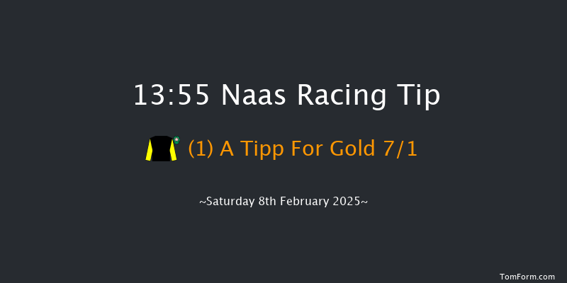 Naas  13:55 Novices Hurdle 18f Sun 26th Jan 2025