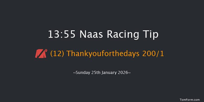 Naas 13-55 18f Fri 9th Jan 2026