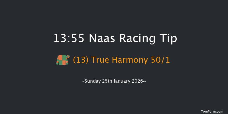 Naas 13-55 18f Fri 9th Jan 2026