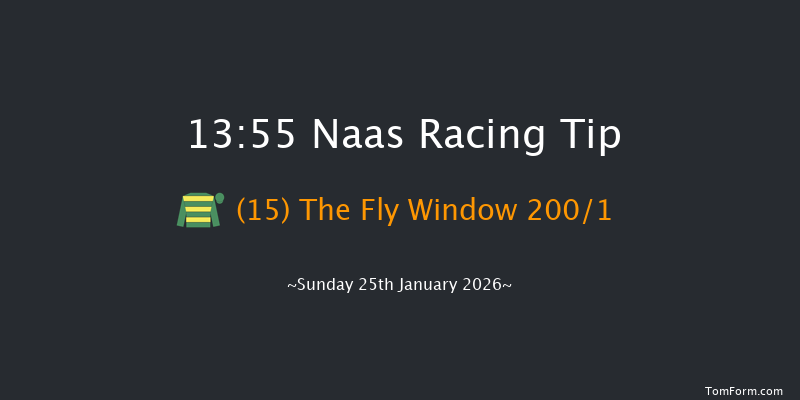 Naas 13-55 18f Fri 9th Jan 2026