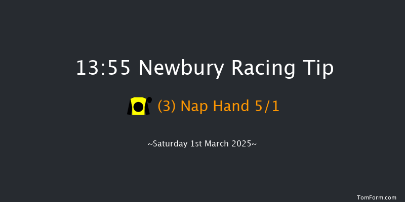 Newbury  13:55 Handicap Hurdle (Class 4) 16f Fri 28th Feb 2025