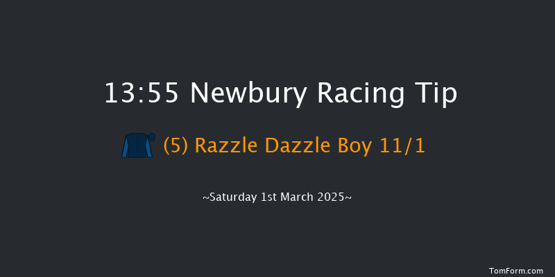 Newbury  13:55 Handicap Hurdle (Class 4) 16f Fri 28th Feb 2025