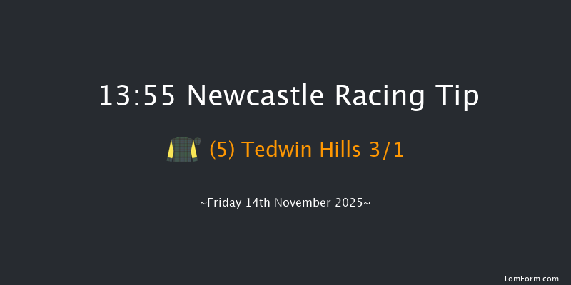 Newcastle 13-55 (Class 4) 20f Fri 7th Nov 2025