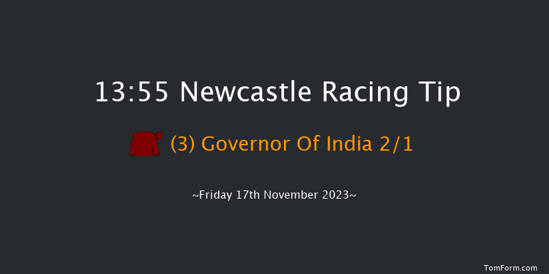 Newcastle 13:55 Handicap (Class 5) 10f Wed 15th Nov 2023