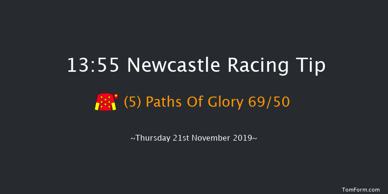 Newcastle 13:55 Handicap (Class 2) 12f Fri 15th Nov 2019
