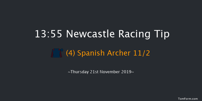 Newcastle 13:55 Handicap (Class 2) 12f Fri 15th Nov 2019