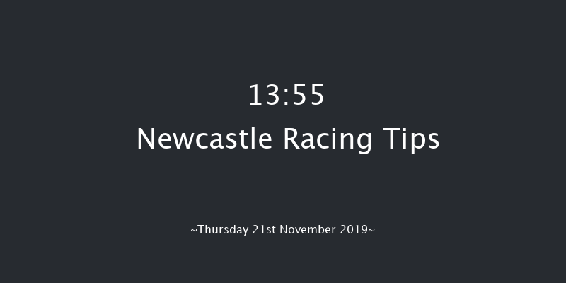 Newcastle 13:55 Handicap (Class 2) 12f Fri 15th Nov 2019