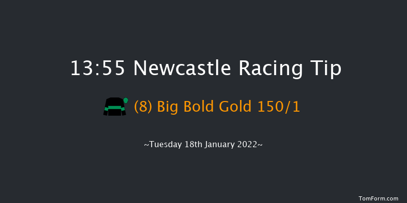 Newcastle 13:55 Handicap Chase (Class 4) 16f Thu 13th Jan 2022