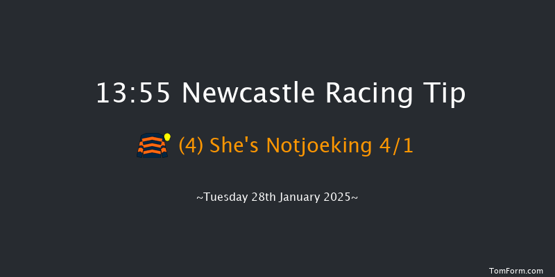 Newcastle  13:55 Handicap Hurdle (Class 4) 17f Sat 25th Jan 2025