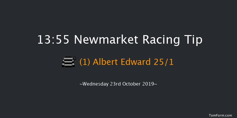 Newmarket 13:55 Stakes (Class 4) 7f Sat 12th Oct 2019