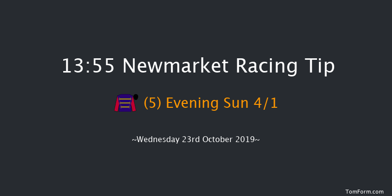 Newmarket 13:55 Stakes (Class 4) 7f Sat 12th Oct 2019