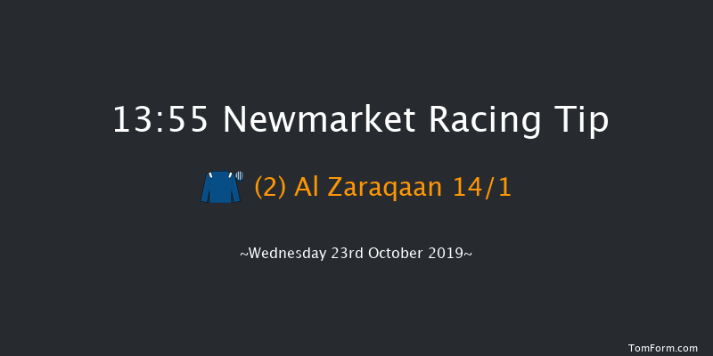 Newmarket 13:55 Stakes (Class 4) 7f Sat 12th Oct 2019