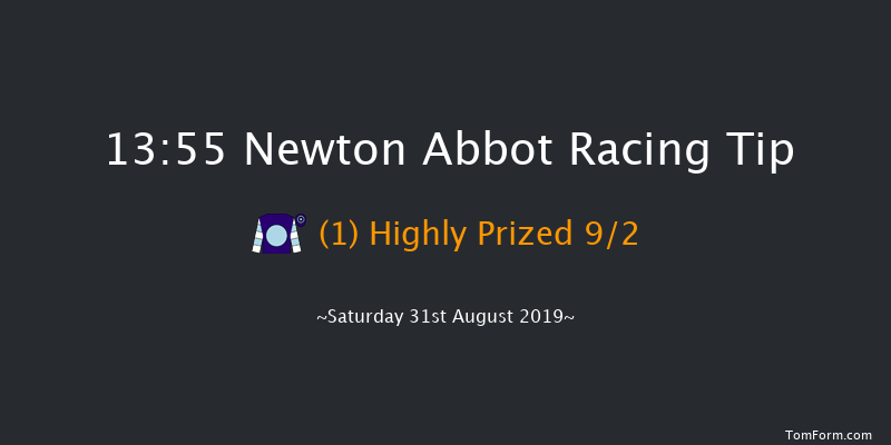 Newton Abbot 13:55 Maiden Hurdle (Class 3) 17f Tue 20th Aug 2019