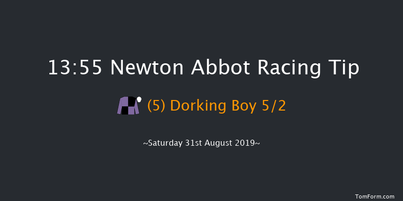 Newton Abbot 13:55 Maiden Hurdle (Class 3) 17f Tue 20th Aug 2019